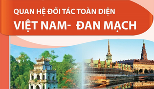 Quan hệ Đối tác toàn diện Việt Nam - Đan Mạch