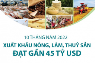 Xuất khẩu nông, lâm, thủy sản đạt gần 45 tỷ sau 10 tháng năm 2022