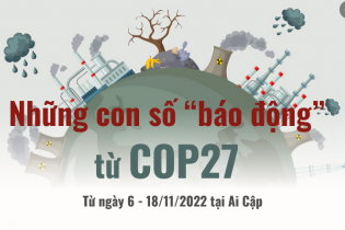 COP27: Những con số đáng "báo động"