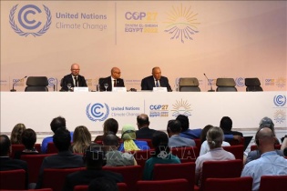 COP27: Đồng thuận thông qua thỏa thuận khí hậu tổng quát cuối cùng