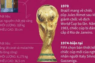 Cúp vàng World Cup - biểu tượng của chiến thắng