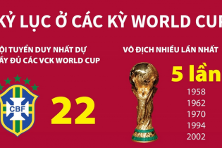 Kỷ lục của các kỳ World Cup
