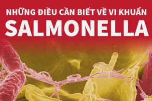 Những điều cần biết về vi khuẩn Salmonella