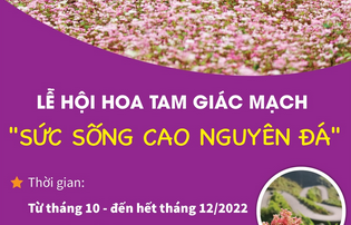 Lễ hội hoa Tam Giác Mạch: "Sức sống cao nguyên đá"