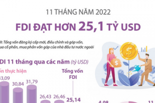 Việt Nam thu hút FDI đạt hơn 25,1 tỷ USD sau 11 tháng năm 2022