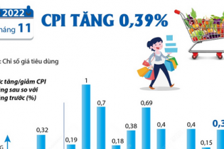 CPI tháng 11/2022 tăng 0,39%