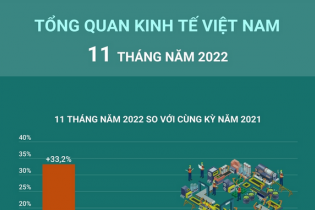 Tổng quan kinh tế Việt Nam 11 tháng năm 2022