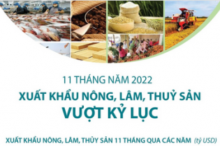 Xuất khẩu nông, lâm, thủy sản vượt kỷ lục sau 11 tháng năm 2022