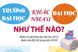 Đại học và trường đại học khác nhau như thế nào?