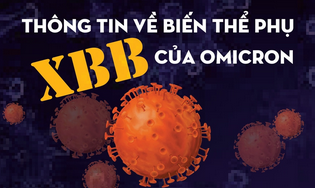 Thông tin về biến thể phụ XBB của Omicron