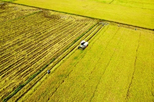 Bạc Liêu được phép chuyển 29 ha đất trồng lúa để thực hiện Dự án Cụm công nghiệp Vĩnh Mỹ