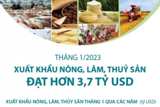 Xuất khẩu nông, lâm, thủy sản đạt hơn 3,7 tỷ USD trong tháng 1/2023