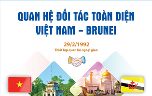 Quan hệ Đối tác toàn diện Việt Nam - Brunei