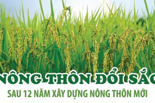 Nông thôn đổi sắc sau 12 năm xây dựng nông thôn mới