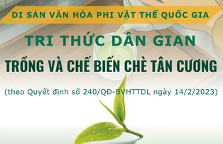 Di sản văn hóa phi vật thể quốc gia Tri thức dân gian trồng và chế biến chè Tân Cương