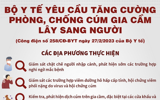 Bộ Y tế yêu cầu tăng cường phòng, chống cúm gia cầm lây sang người