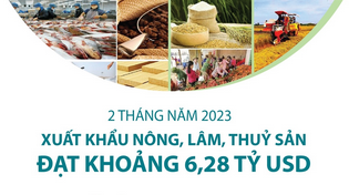 Xuất khẩu nông, lâm, thuỷ sản đạt khoảng 6,28 tỷ USD sau 2 tháng năm 2023