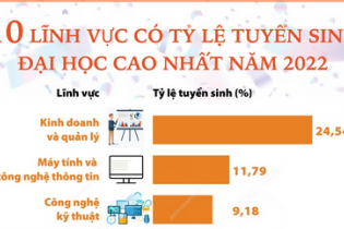 10 lĩnh vực có tỷ lệ tuyển sinh đại học cao nhất năm 2022