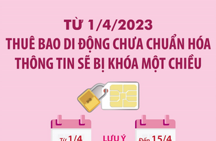 Từ 1/4/2023, thuê bao di động chưa chuẩn hóa thông tin sẽ bị khóa một chiều