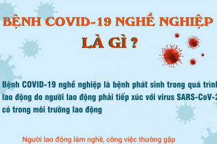 Bệnh Covid-19 nghề nghiệp là gì?