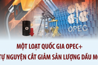 Một loạt quốc gia OPEC+ tự nguyện cắt giảm sản lượng dầu mỏ