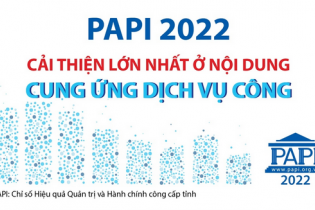 PAPI 2022: Cải thiện lớn nhất ở nội dung Cung ứng dịch vụ công