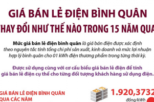 Giá bán lẻ điện bình quân thay đổi như thế nào trong 15 năm qua