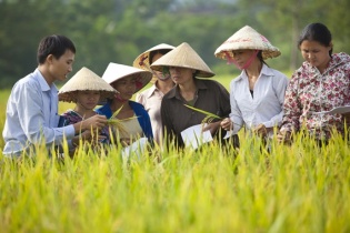 Chính phủ ban hành Nghị định quy định về bảo hiểm vi mô
