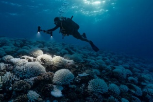 Nhiệt độ đại dương tăng cao kỷ lục