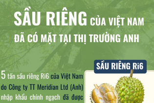 Sầu riêng của Việt Nam đã có mặt tại thị trường Anh