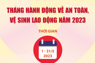 Tổ chức Tháng hành động về an toàn, vệ sinh lao động năm 2023