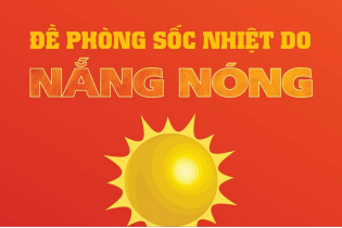 Đề phòng sốc nhiệt do nắng nóng