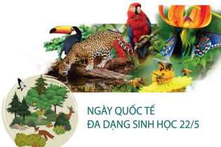 Ngày Quốc tế đa dạng sinh học 22/5: Thay đổi hành vi, thúc đẩy lối sống hài hòa với thiên nhiên