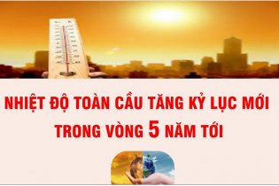 Nhiệt độ toàn cầu dự báo tăng lên kỷ lục mới trong vòng 5 năm tới