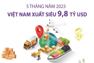 Việt Nam xuất siêu 9,8 tỷ USD sau 5 tháng năm 2023