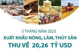Xuất khẩu nông, lâm, thủy sản thu về 20,26 tỷ USD sau 5 tháng năm 2023