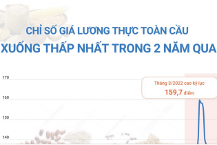 FAO: Chỉ số giá lương thực toàn cầu xuống thấp nhất trong hai năm qua
