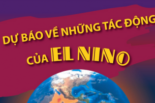 Dự báo về những tác động của El Nino