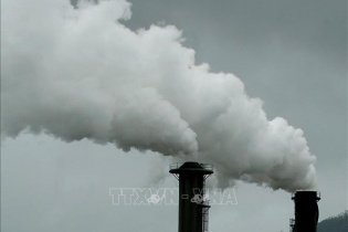 Sáng kiến toàn cầu về minh bạch tín chỉ carbon