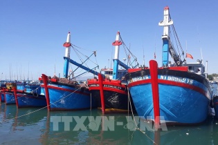 Đặt mục tiêu đến tháng 10/2023 gỡ cảnh báo "Thẻ vàng" IUU