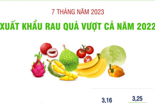 Tính chung 7 tháng đầu năm 2023, xuất khẩu rau quả đã vượt cả năm 2022