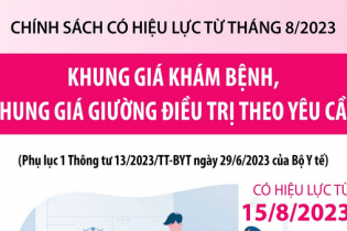 Khung giá khám bệnh, khung giá giường điều trị theo yêu cầu từ 15/8/2023
