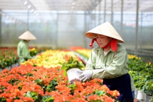 Quỹ Hỗ trợ nông dân hoạt động không vì mục tiêu lợi nhuận 