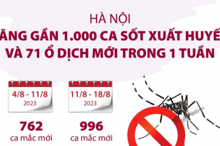 Hà Nội: Tăng gần 1.000 ca sốt xuất huyết và 71 ổ dịch mới trong 1 tuần