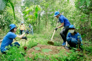 Kế hoạch triển khai Tuyên bố Glasgow về rừng và sử dụng đất đến năm 2030