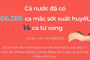 Cả nước đã có 66.386 ca mắc sốt xuất huyết, 14 ca tử vong