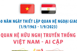 Quan hệ hữu nghị truyền thống Việt Nam - Ai Cập