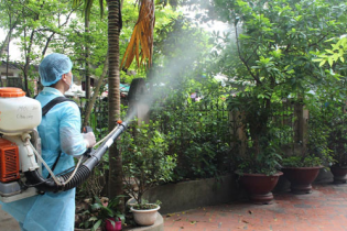Tin mới về y tế ngày 12/9: Hà Nội thêm trường hợp tử vong vì sốt xuất huyết