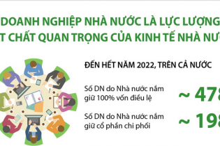 Doanh nghiệp Nhà nước là lực lượng vật chất quan trọng của kinh tế nhà nước