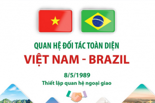 Quan hệ Đối tác toàn diện Việt Nam - Brazil